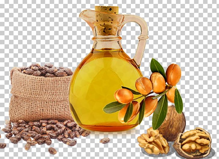 Castor Oil Argan Oil Hair Carrier Oil PNG, Clipart, Argan Oil, Bean, Cabelo, Carrier Oil, Castor Oil Free PNG Download