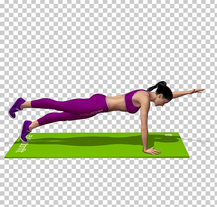 Pilates Bodyweight Exercise Suspension Training Physical Fitness PNG, Clipart, Abdomen, Arm, Balance, Bodyweight Exercise, Exercise Free PNG Download