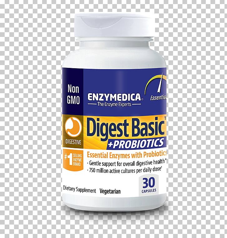 Digestion Digestive Enzyme Probiotic Food PNG, Clipart, Amylase, Basic, Carbohydrate, Cellulase, Dietary Supplement Free PNG Download