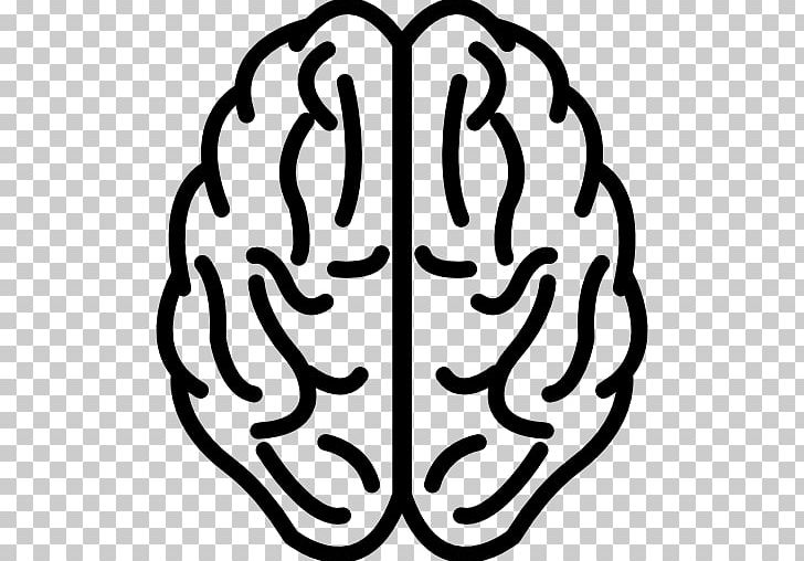 Human Brain Development Of The Nervous System PNG, Clipart, Artwork, Black And White, Brain, Central Nervous System, Computer Icons Free PNG Download