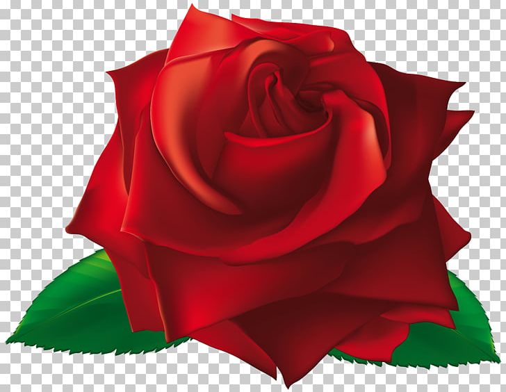 Rose Flower PNG, Clipart, Blue, Clip Art, Clipart, Flower, Flowering Plant Free PNG Download