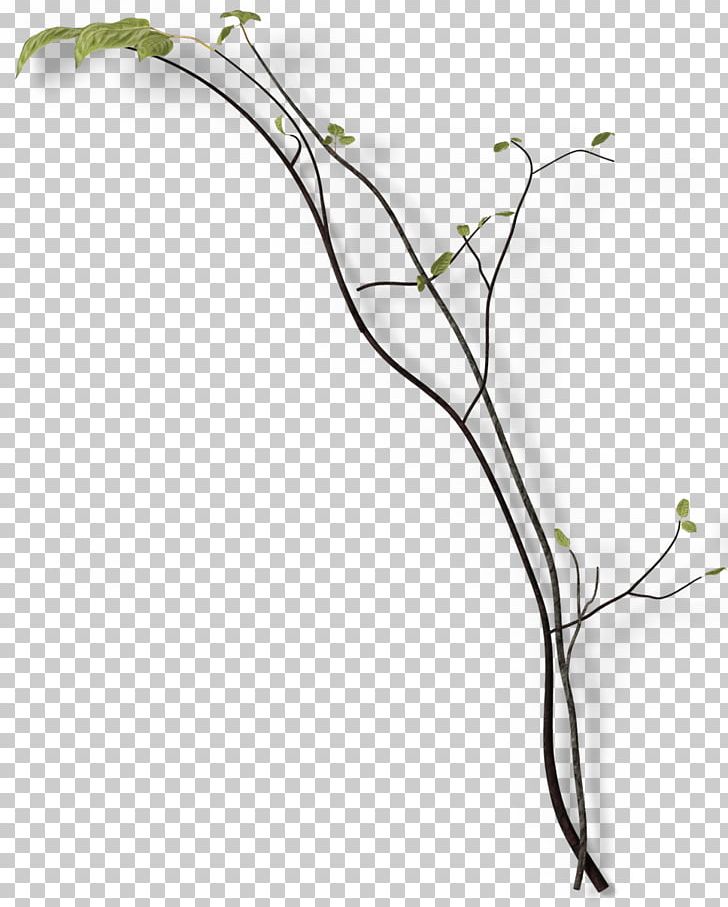 Twig Branch Leaf Green PNG, Clipart, Background Green, Branch, Branches, Branches Vector, Download Free PNG Download
