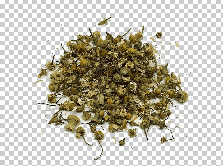 White Tea Biluochun Infusion Digestif PNG, Clipart, Anis, Anise, Biluochun, Black Tea, Cafe Free PNG Download