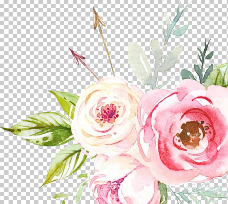 Garden Roses PNG, Clipart, Bouquet, Chinese Peony, Common Peony, Cut Flowers, Floral Design Free PNG Download