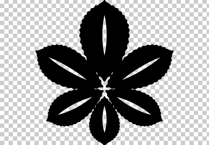 Petal PNG, Clipart, Black And White, Colourbox, Encapsulated Postscript, Flora, Flower Free PNG Download