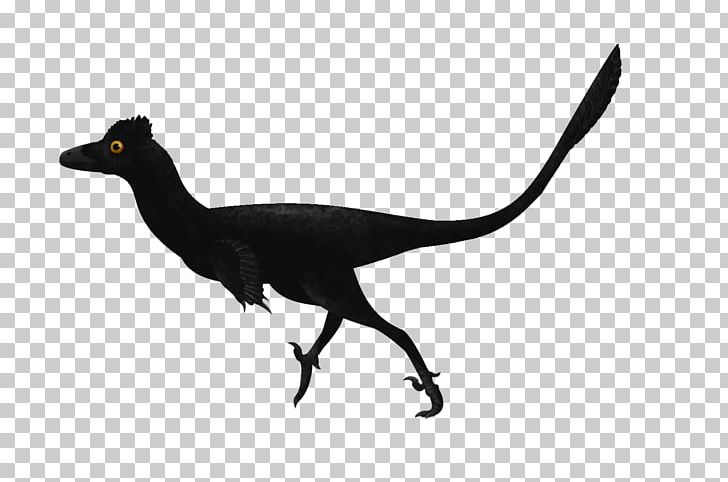 Troodon Velociraptor Digital Art PNG, Clipart, Animal, Animal Figure, Art, Artist, Beak Free PNG Download