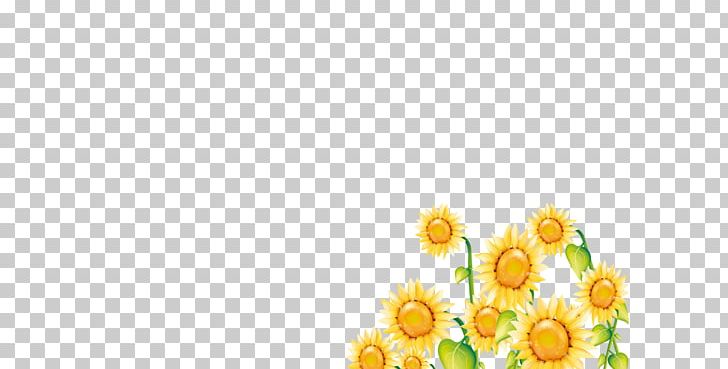 Floral Design Yellow Petal Flower Pattern PNG, Clipart, Floral Design, Floristry, Flower, Flower Arranging, Flowering Plant Free PNG Download