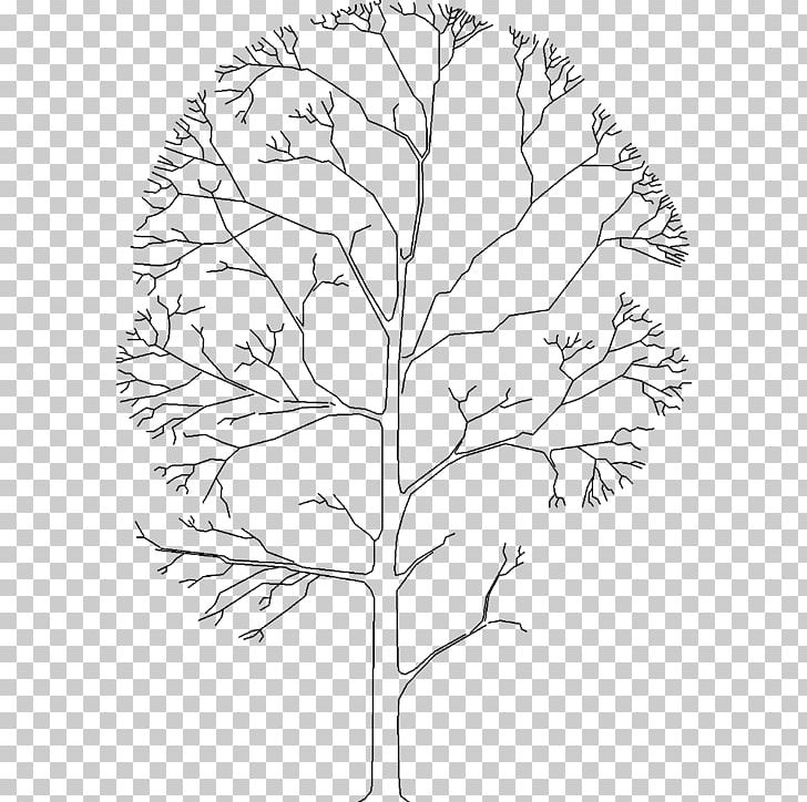 Twig Line Art Drawing Plant Stem Leaf PNG, Clipart, Area, Artwork, Black And White, Branch, Drawing Free PNG Download