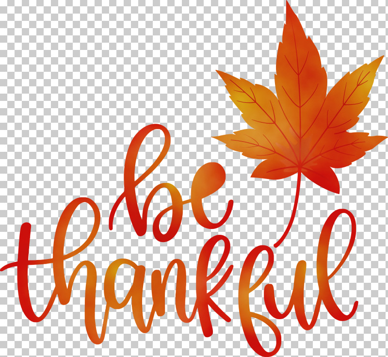 Maple Leaf PNG, Clipart, Acer Ginnala, Acer Nigrum, Be Thankful, Give Thanks, Gum Trees Free PNG Download