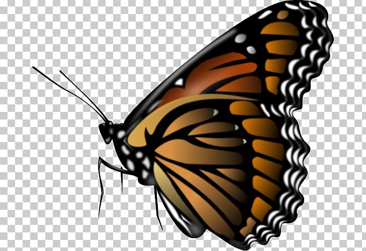 Butterfly PNG, Clipart, Arthropod, Brush Footed Butterfly, Butterfly, Clip Art, Computer Icons Free PNG Download