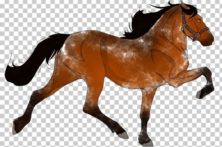Mustang Appaloosa American Quarter Horse Shire Horse Pony PNG, Clipart, American Quarter Horse, Animal Figure, Appaloosa, Bay, Bridle Free PNG Download