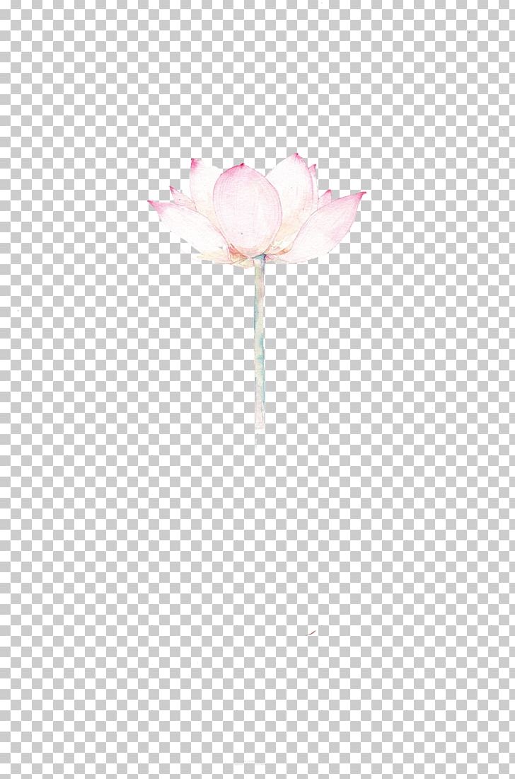 Rosaceae Still Life Photography Cut Flowers Petal PNG, Clipart, Blossom, Cartoon, Computer, Computer Wallpaper, Family Free PNG Download