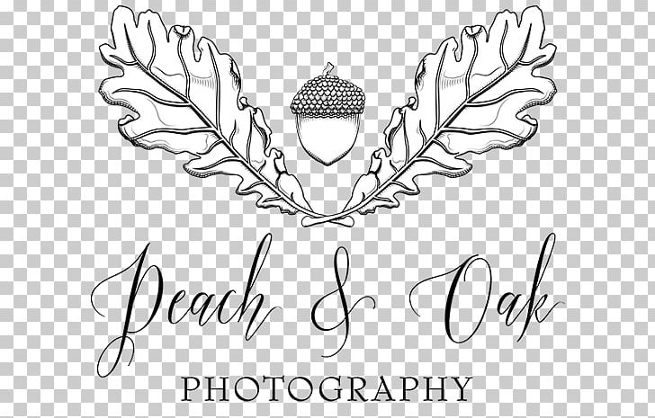 Visual Arts Drawing Graphic Design Calligraphy PNG, Clipart, Area, Art, Arts, Artwork, Black And White Free PNG Download