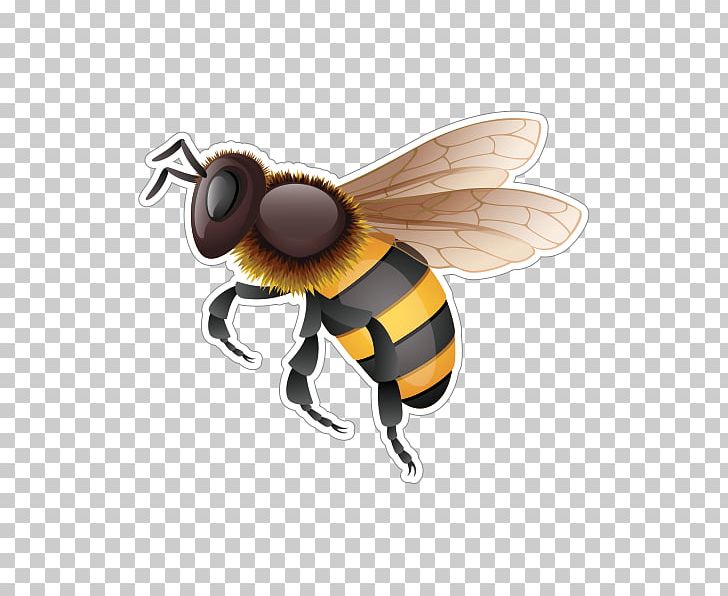 Western Honey Bee Hornet Bumblebee PNG, Clipart, Arthropod, Bee, Bumblebee, Door, Fly Free PNG Download