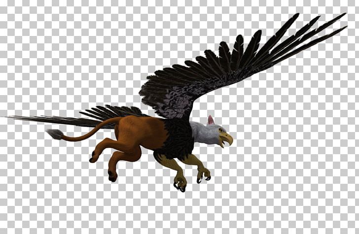 ARK: Survival Evolved Lion Saab JAS 39 Gripen Bird Art Trivia PNG, Clipart, Animal, Animal Figure, Ark Survival Evolved, Art Trivia, Beak Free PNG Download