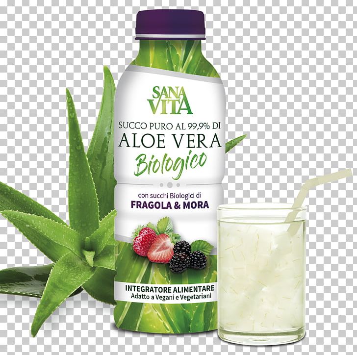 Dietary Supplement Aloe Vera Juice Acid Gras Omega-3 Plants PNG, Clipart, Aloe, Aloe Vera, Dietary Fiber, Dietary Supplement, Digestion Free PNG Download