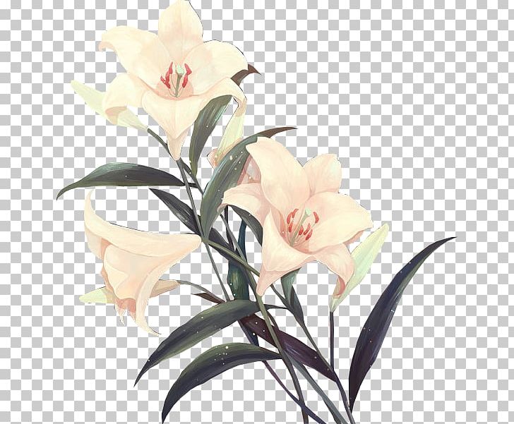 Floral Design Cut Flowers PNG, Clipart, Blog, Cut Flowers, Designer, Drawing, Flora Free PNG Download