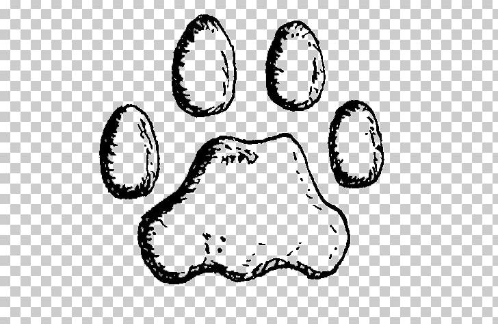Cougar Lion Felidae Black Panther Paw PNG, Clipart, Animal, Animals, Big Cat, Black And White, Black Panther Free PNG Download