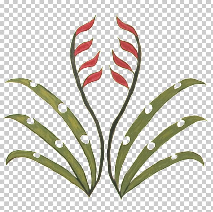 New Zealand Māori People Towel Aotearoa PNG, Clipart, Aotearoa, Artwork, Drap De Neteja, Flax, Flora Free PNG Download