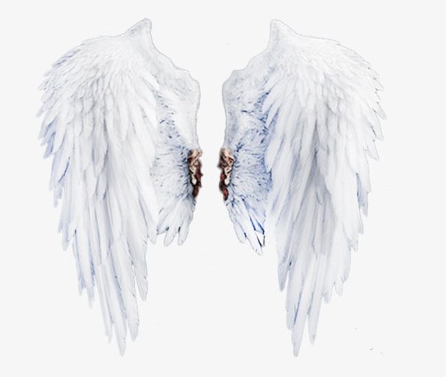White Wings Stock PNG, Clipart, Angel, Angel Wings Pictures, Decorating, Four, Image Clipart Free PNG Download