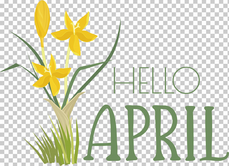 Floral Design PNG, Clipart, Cut Flowers, Daffodil, Floral Design, Flower, Line Free PNG Download