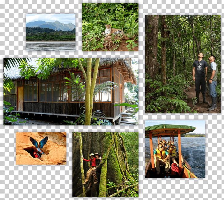Beni Department Madidi Jungle Ecolodge National Park Protected Area PNG, Clipart,  Free PNG Download
