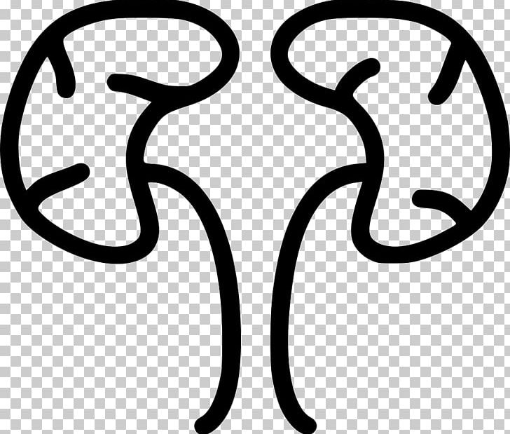 Computer Icons Medicine Kidney PNG, Clipart, Anatomy, Black And White, Body Jewelry, Computer Icons, Dentistry Free PNG Download