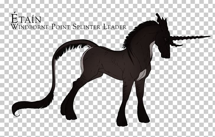 Mustang Stallion Foal Colt Mare PNG, Clipart, Black And White, Colt, Fictional Character, Foal, Halter Free PNG Download