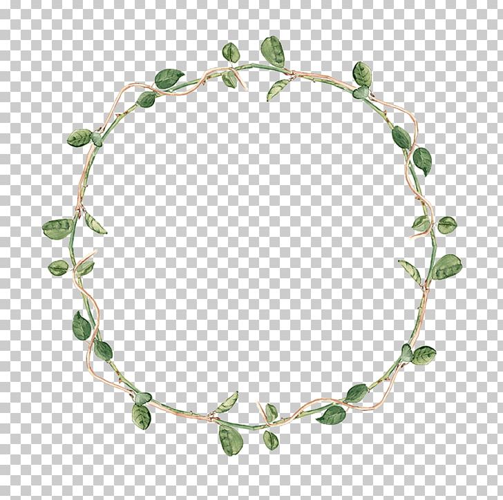 vine tree png clipart