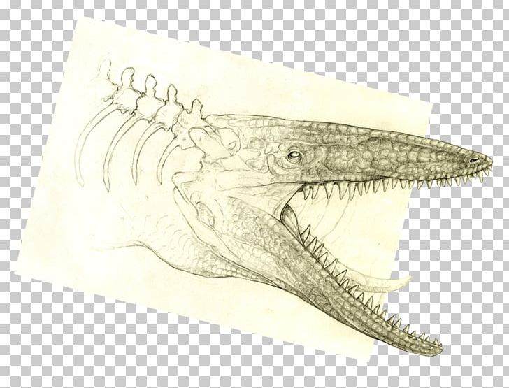 Crocodile Velociraptor Drawing /m/02csf Jaw PNG, Clipart, Animals, Artwork, Crocodile, Crocodilia, Dinosaur Free PNG Download