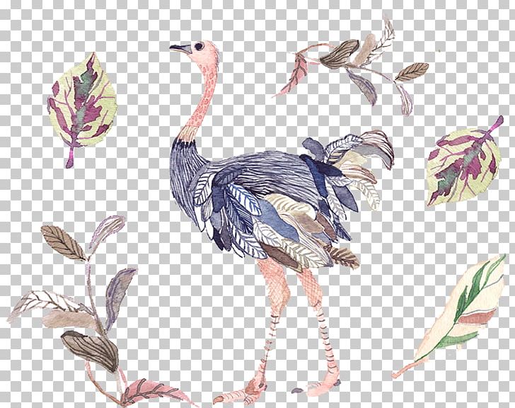 Illustration PNG, Clipart, Animals, Art, Bird, Creativity, Diagram Free PNG Download