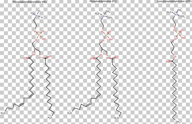 Line Point Angle Pattern PNG, Clipart, Angle, Area, Art, Diagram, Line Free PNG Download