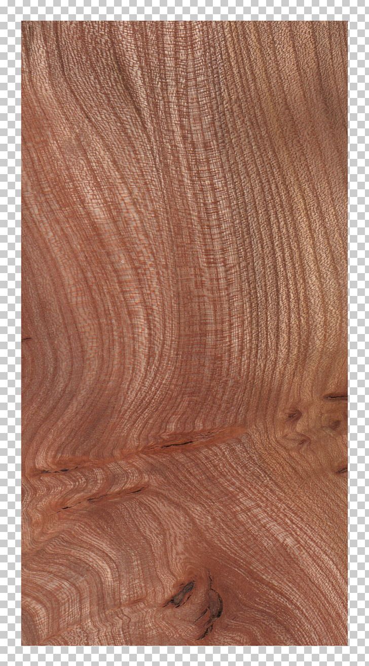 Sebastian Cox Ltd Hardwood Wood Flooring PNG, Clipart, Brown, Caramel Color, Elm, Floor, Flooring Free PNG Download