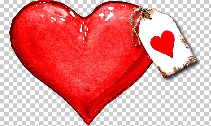Valentine's Day Love Heart Photography PNG, Clipart,  Free PNG Download