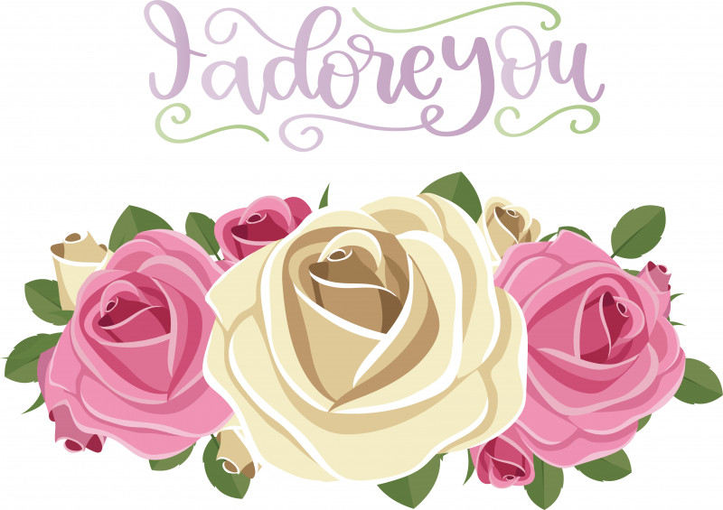 Garden Roses PNG, Clipart, Drawing, Floral Design, Flower, Flower Bouquet, Garden Roses Free PNG Download