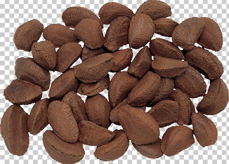 Brazil Nut Nutcracker Hazelnut Pecan PNG, Clipart, Almond, Brown, Caramel, Chocolate Bar, Chocolate Cake Free PNG Download