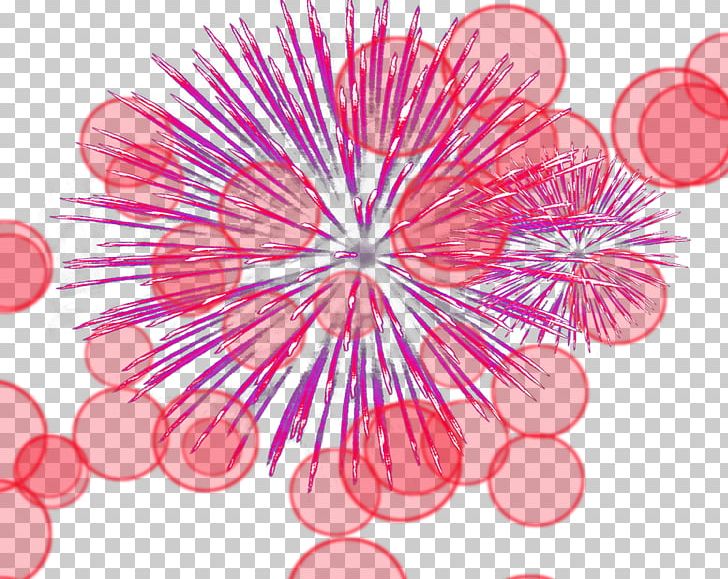 Light Fireworks PNG, Clipart, Brilliant, Chin, Effect, Firework, Fireworks Free PNG Download