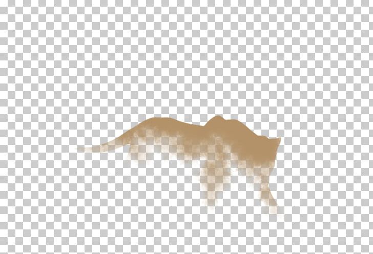 Lion Dog Jaw Snout Canidae PNG, Clipart, Big Cats, Canidae, Carnivoran, Cat Like Mammal, Dog Free PNG Download
