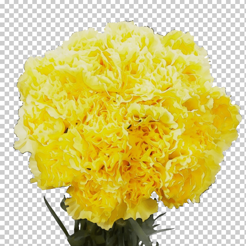 Cut Flowers Yellow Flower Cutting PNG, Clipart, Cut Flowers, Cutting, Flower, Paint, Watercolor Free PNG Download