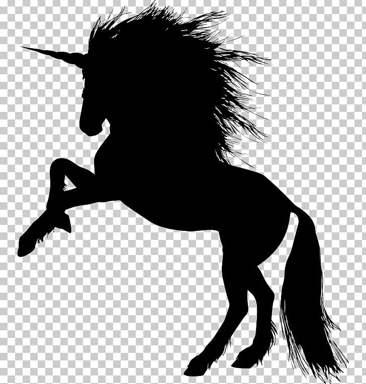 American Paint Horse Stallion Mustang PNG, Clipart, American Paint Horse, Carnivoran, Desktop Wallpaper, Download, Equestrian Free PNG Download