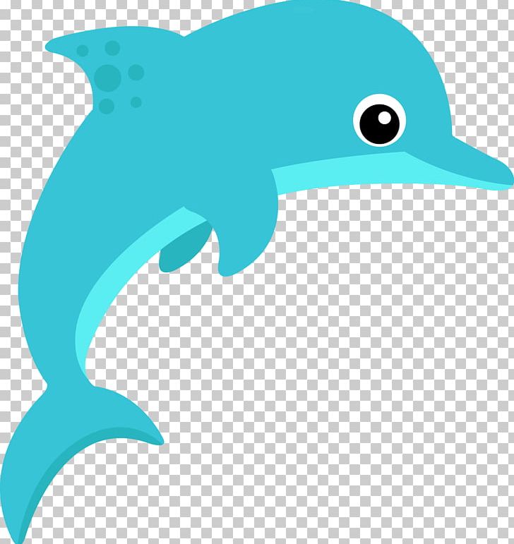 Aquatic Animal Deep Sea Creature PNG, Clipart, Animal, Beak, Bird, Common Bottlenose Dolphin, Dolphin Free PNG Download