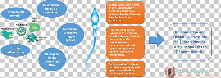 Graphic Design Brand Diagram Service PNG, Clipart, Brand, Communication, Cytoplasmic Male Sterility, Diagram, Graphic Design Free PNG Download