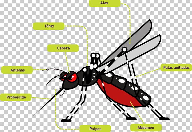 Yellow Fever Mosquito Chikungunya Virus Infection Dengue Fever Zika Virus PNG, Clipart, Aedes, Arthropod, Chikungunya Virus Infection, Dengue Fever, Disease Free PNG Download