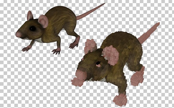File Format Computer Mouse Computer File Piazza Armerina Portable Network Graphics PNG, Clipart, Animal, Brown Rat, Computer, Computer Mouse, Download Free PNG Download