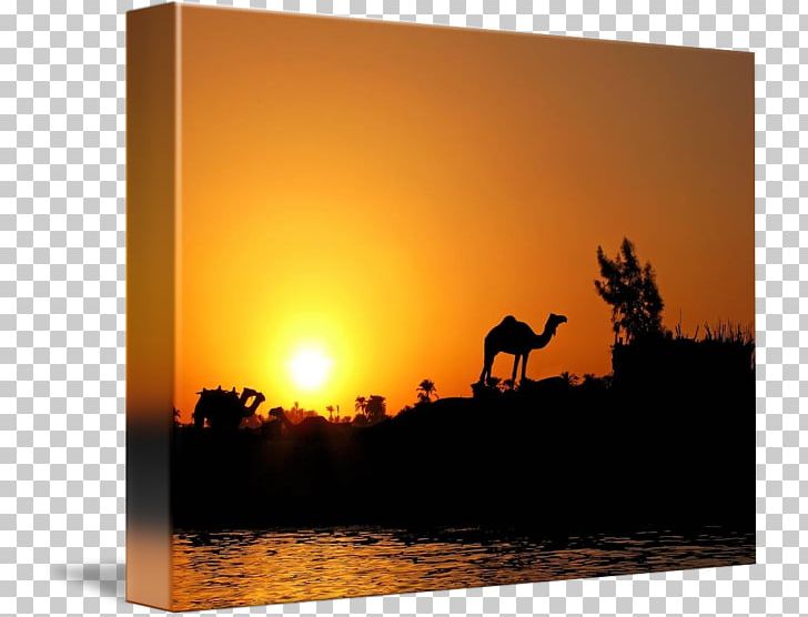 Medina Silhouette Stock Photography Judeo-Christian PNG, Clipart, Animals, Christianity, Dawn, Eid Aladha, Heat Free PNG Download