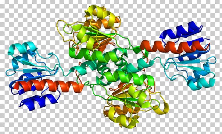Phosphoglycerate Dehydrogenase 3-Phosphoglyceric Acid Enzyme Catalysis PNG, Clipart, 2phosphoglyceric Acid, Bead, Cofactor, Dehydrogenase, Enzyme Free PNG Download