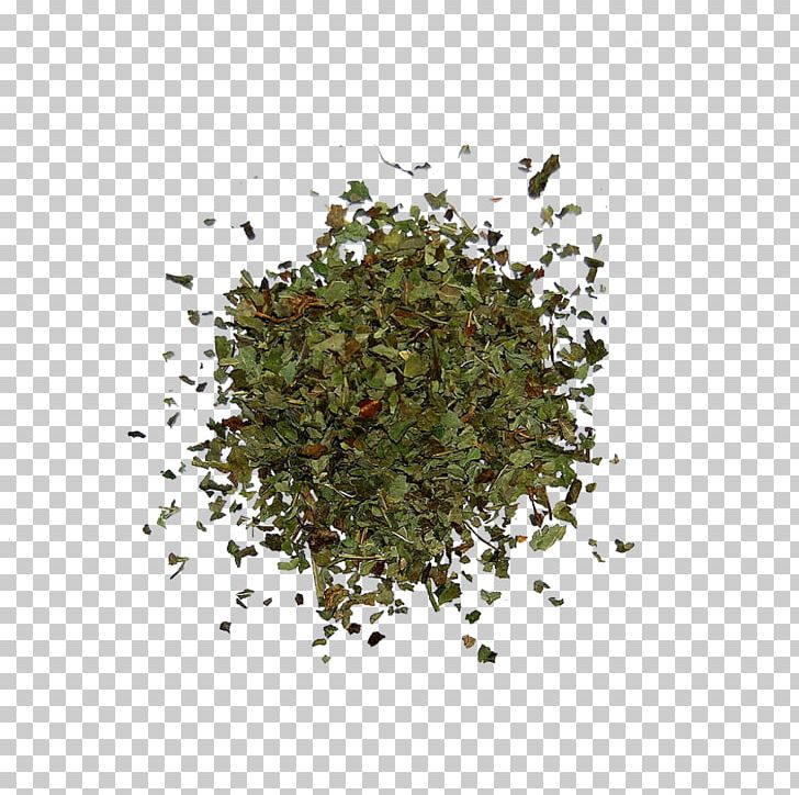 Seasoning PNG, Clipart, Balm, Grass, Herb, Herbs, Lancaster Free PNG Download