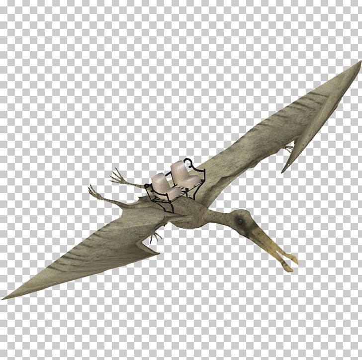 Zoo Tycoon 2: Marine Mania Ornithocheirus Tropeognathus Pteranodon Pterosaurs PNG, Clipart, Cold Weapon, Miscellaneous, Ornithocheirus, Others, Pteranodon Free PNG Download