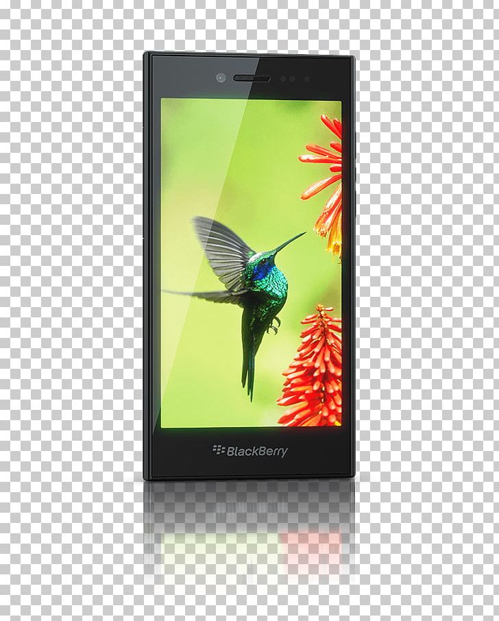BlackBerry Leap Smartphone Internet Comparison Shopping Website PNG, Clipart, Blackberry 10, Display Advertising, Display Device, Electronic Device, Electronics Free PNG Download