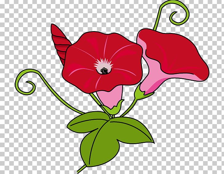 Flower Ipomoea Nil Morning Glory PNG, Clipart, Art, Artwork, Computer Icons, Cut Flowers, Drawing Free PNG Download